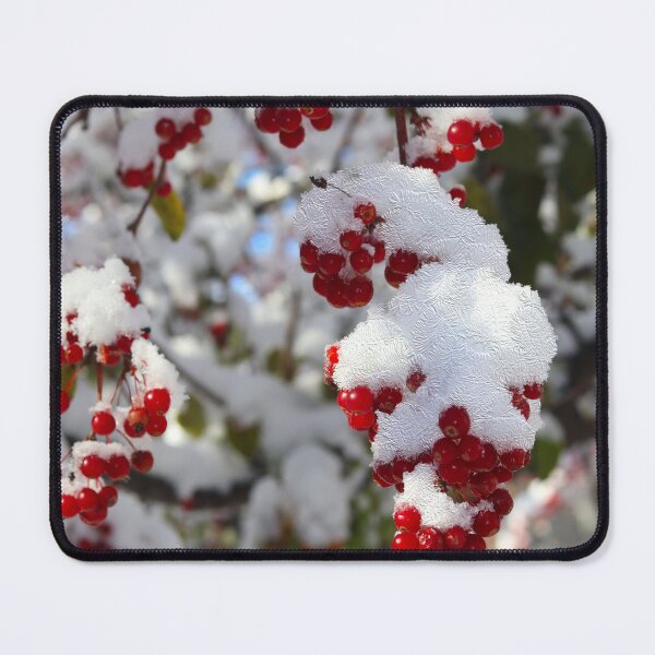 Item preview, Red Wild Berries Covered With Snow designed and sold by BostonArcImage.
