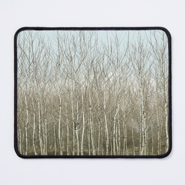 Item preview, Grove of Birch Trees Against a Pale Blue Sky designed and sold by CountyKent.