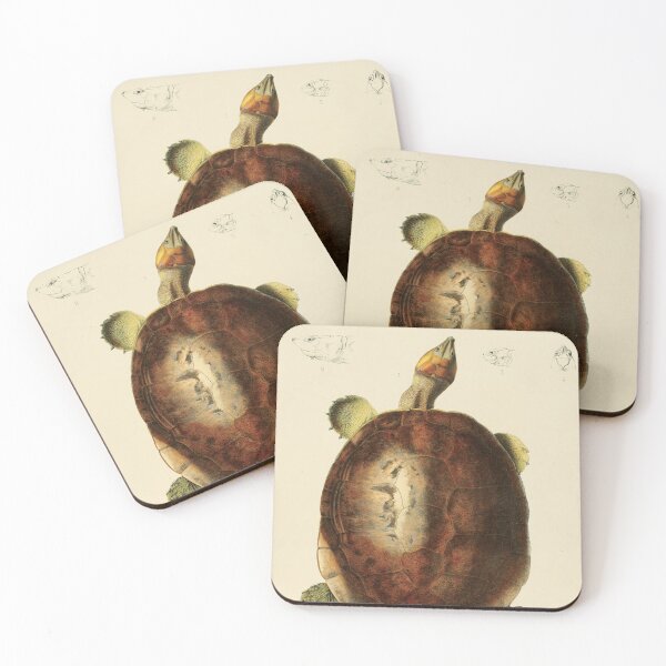 Item preview, The Magdalena River Turtle - Podocnemis Lewyana Illustration designed and sold by InnerCitadel.
