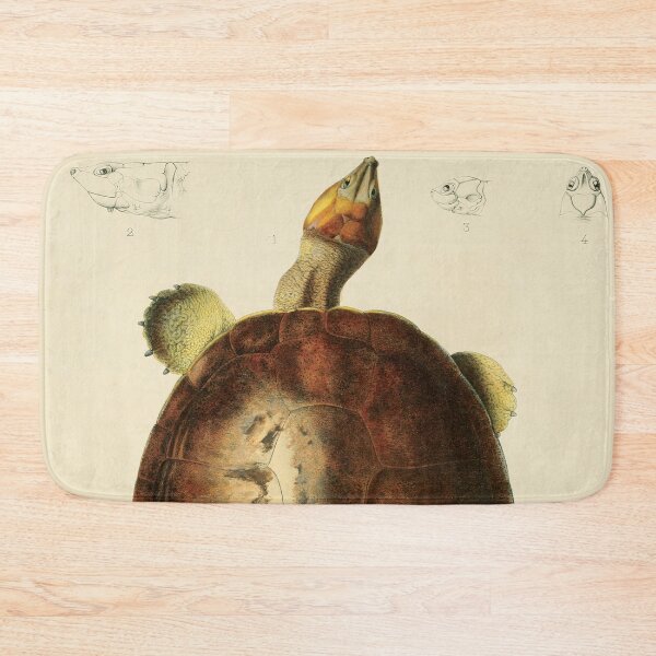 Item preview, The Magdalena River Turtle - Podocnemis Lewyana Illustration designed and sold by InnerCitadel.