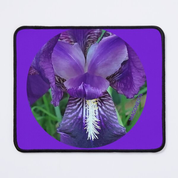 Item preview, Floral - Purple Iris by Wagonesta designed and sold by Wagonesta.