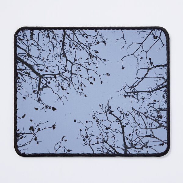 Item preview, Staghorn Sumac in Winter, Part 2 designed and sold by TheNatureNerd.