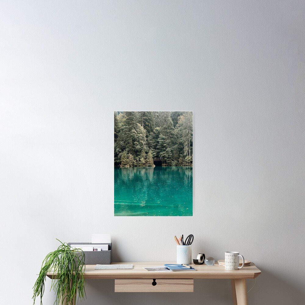 Item preview, Poster designed and sold by Ibitiraquire.