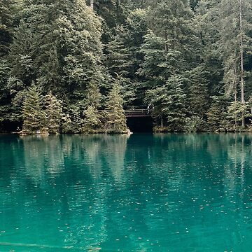 Artwork thumbnail, Lake Blausee Photography in the Bernese Oberland Region by Ibitiraquire