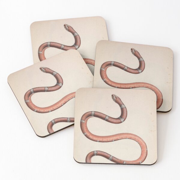 Item preview, Classic Snake Scientific Illustration designed and sold by InnerCitadel.