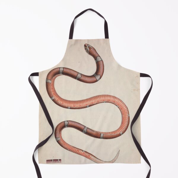 Item preview, Classic Snake Scientific Illustration designed and sold by InnerCitadel.