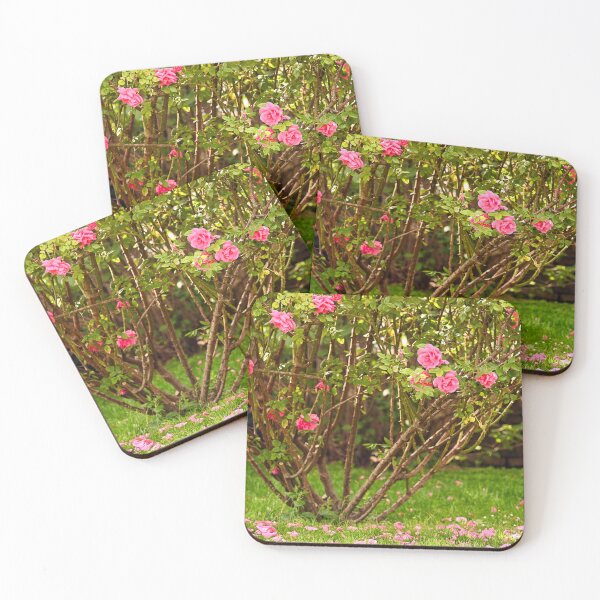 Item preview, Pink roses garden in Volksgarten nature background,Vienna,Austria designed and sold by goceris.