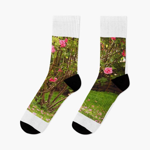 Item preview, Pink roses garden in Volksgarten nature background,Vienna,Austria designed and sold by goceris.