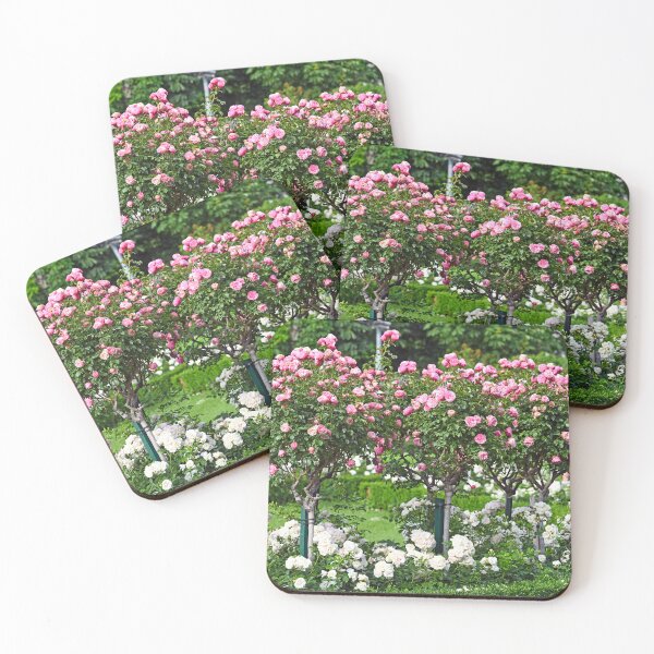 Item preview, Pink and white roses garden in Volksgarten Vienna,Austria, spring season designed and sold by goceris.
