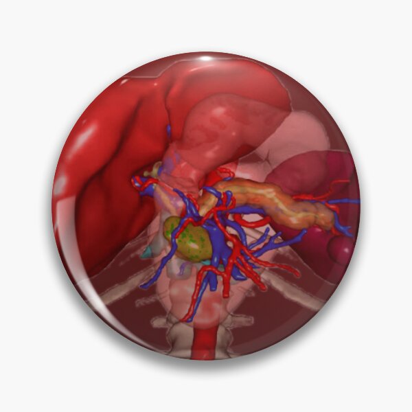 Item preview, Pancreas  designed and sold by ontological.