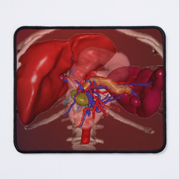 Item preview, Pancreas designed and sold by ontological.
