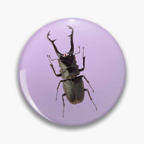 Item preview, black beetle or coleoptera designed and sold by monzmoon.