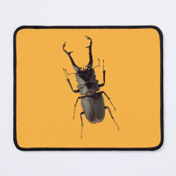 Item preview, black beetle or coleoptera designed and sold by monzmoon.
