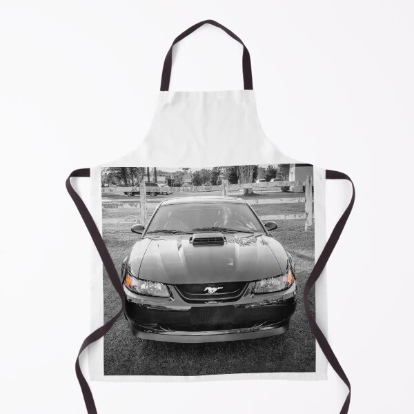 Item preview, 2004 Black Ford Mustang Mach 1 40th Anniversary X130 designed and sold by RichFrancoCars.