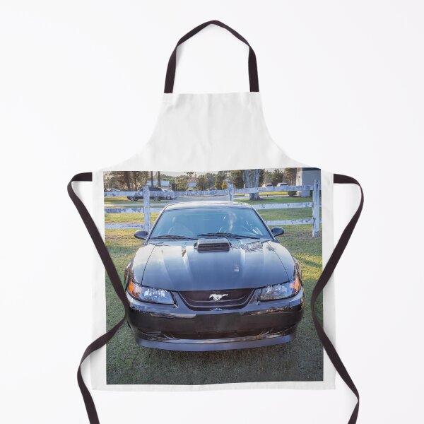 Item preview, 2004 Black Ford Mustang Mach 1 40th Anniversary X131 designed and sold by RichFrancoCars.