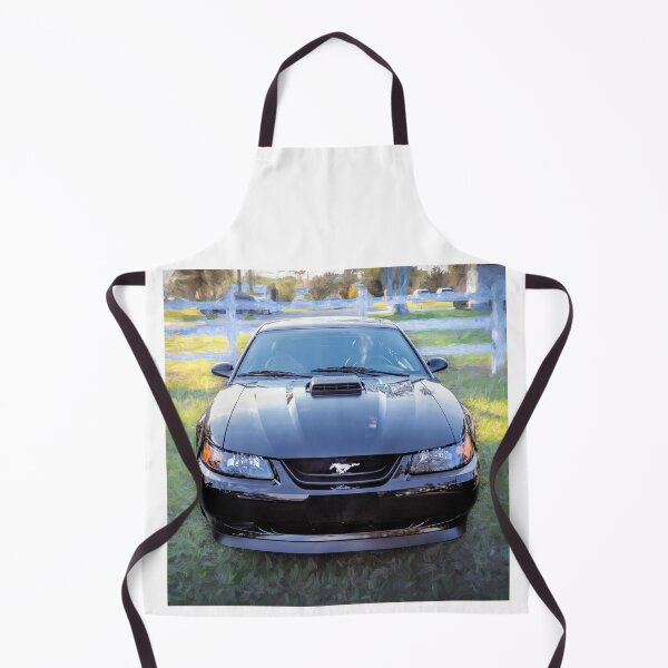 Item preview, 2004 Black Ford Mustang Mach 1 40th Anniversary X131 designed and sold by RichFrancoCars.
