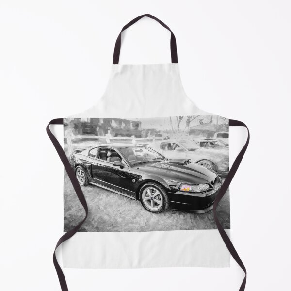 Item preview, 2004 Black Ford Mustang Mach 1 40th Anniversary X141 designed and sold by RichFrancoCars.