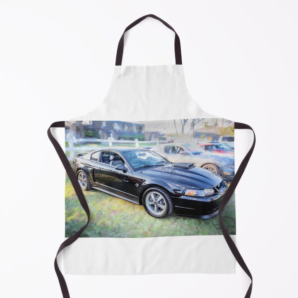 Item preview, 2004 Black Ford Mustang Mach 1 40th Anniversary X142 designed and sold by RichFrancoCars.