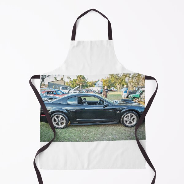 Item preview, 2004 Black Ford Mustang Mach 1 40th Anniversary X144 designed and sold by RichFrancoCars.