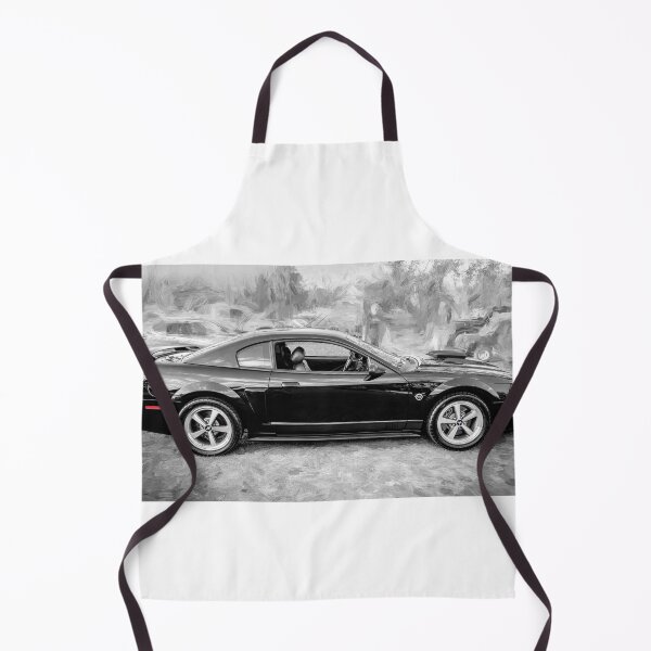Item preview, 2004 Black Ford Mustang Mach 1 40th Anniversary X146 designed and sold by RichFrancoCars.