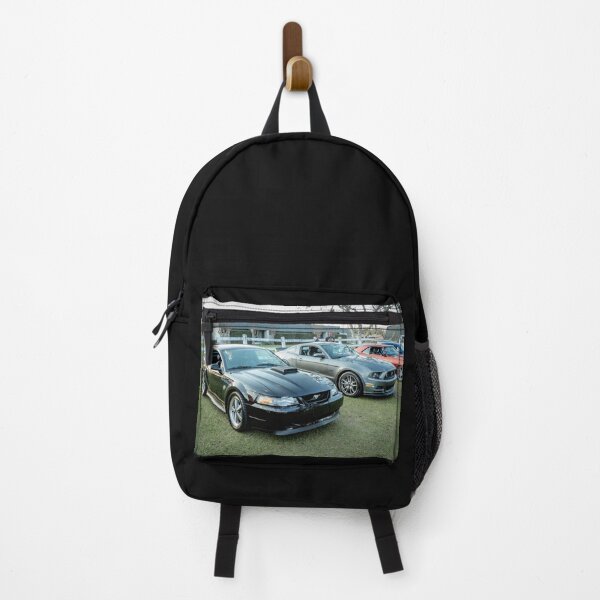 Item preview, 2004 and 2013 Ford Mustangs X500 designed and sold by RichFrancoCars.
