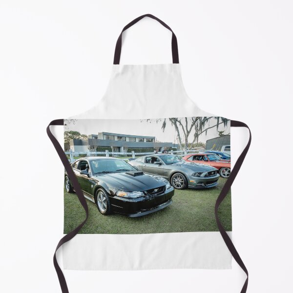 Item preview, 2004 and 2013 Ford Mustangs X500 designed and sold by RichFrancoCars.
