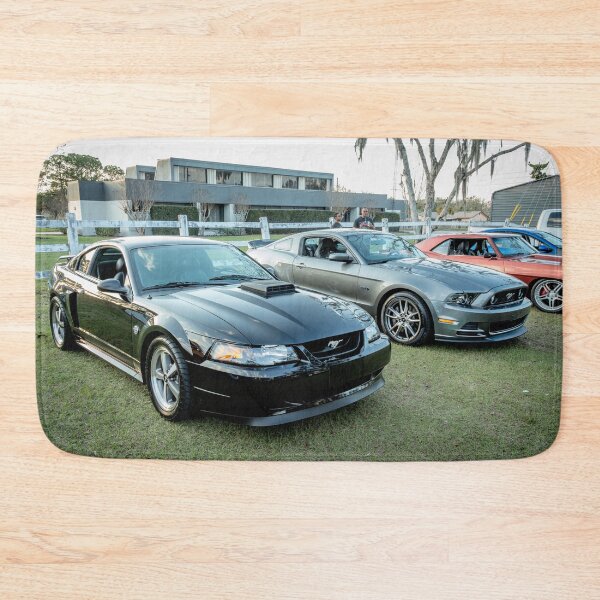 Item preview, 2004 and 2013 Ford Mustangs X500 designed and sold by RichFrancoCars.