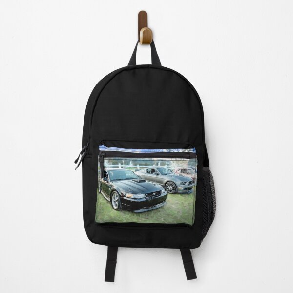 Item preview, 2004 and 2013 Ford Mustangs X501 designed and sold by RichFrancoCars.