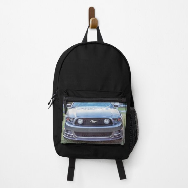 Item preview, 2013 Silver Ford Mustang GT 5-0 Premium X126 designed and sold by RichFrancoCars.