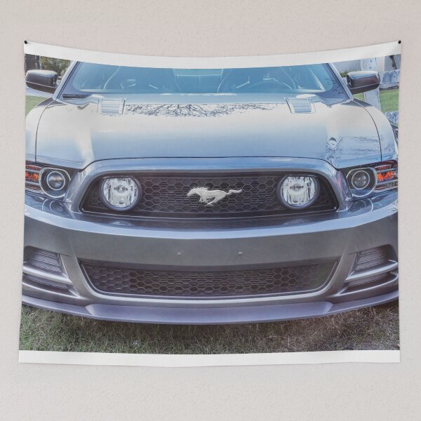 Item preview, 2013 Silver Ford Mustang GT 5-0 Premium X126 designed and sold by RichFrancoCars.