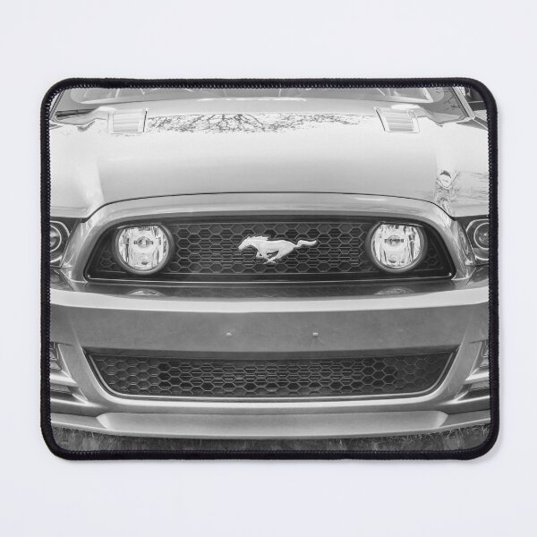 Item preview, 2013 Silver Ford Mustang GT 5-0 Premium X128 designed and sold by RichFrancoCars.