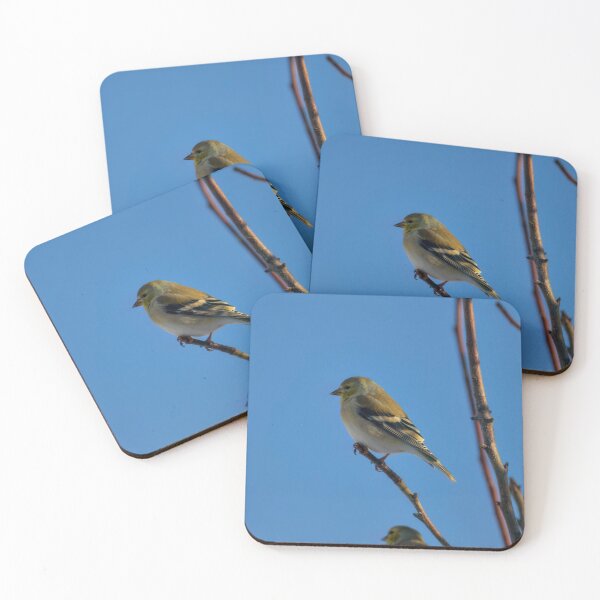 Item preview, American Goldfinch  designed and sold by Cblifeisgood.