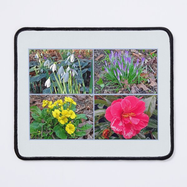 Item preview, Early Signs of Spring, February 2025 designed and sold by RedHillDigital.