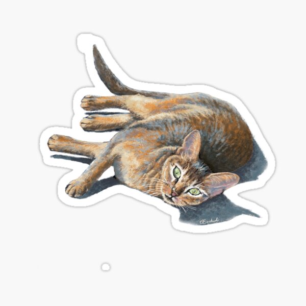 Abyssinian cat lying Sticker