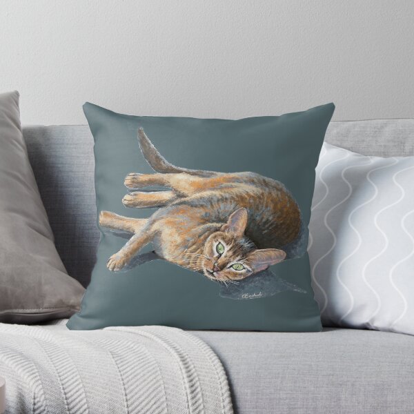 Chat abyssin couché Coussin