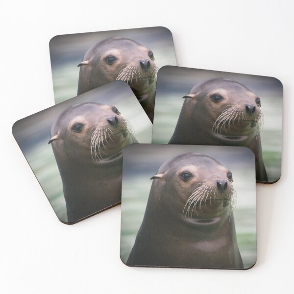 Item preview, Sea Lion - Colwyn Bay Zoo designed and sold by Pic Your Way.