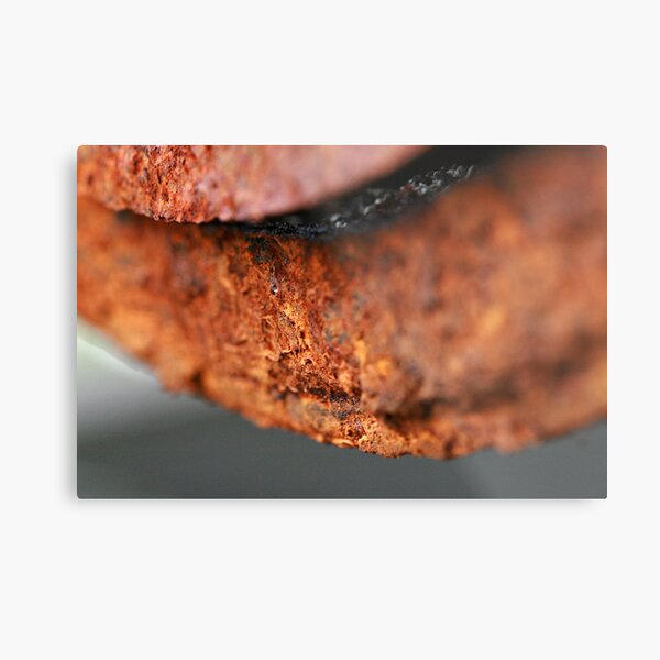 A Thin Line of Rusty Focus Metal Print