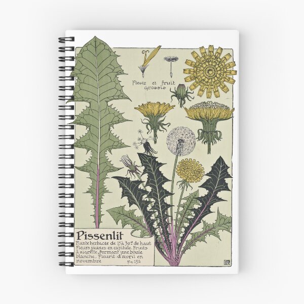 Item preview,  Vintage Flower Yellow Hawkweed poster designed and sold by botanicalworks.