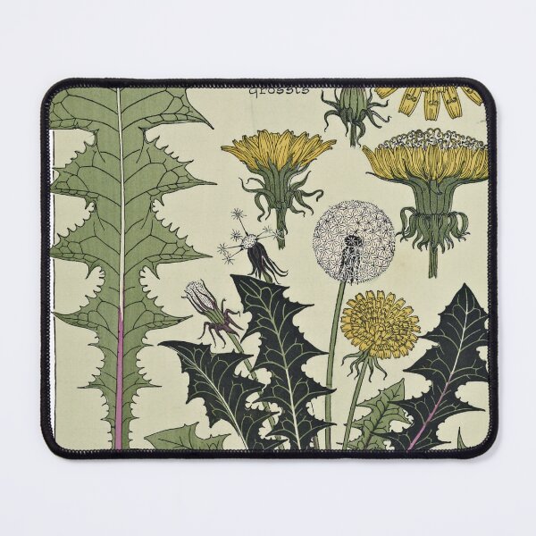 Item preview,  Vintage Flower Yellow Hawkweed poster designed and sold by botanicalworks.