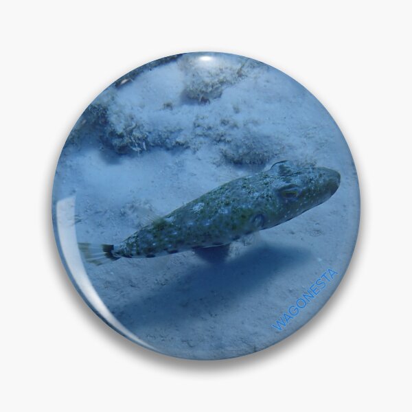 Item preview, Underwater - Pickle  Fish in Bonaire by Wagonesta  designed and sold by Wagonesta.