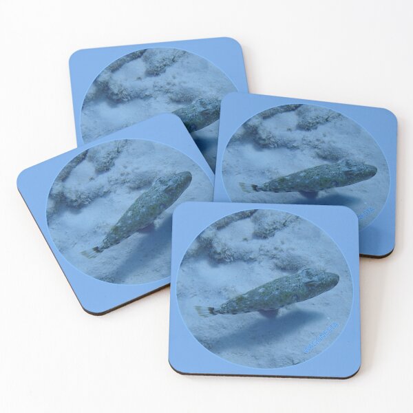Item preview, Underwater - Pickle  Fish in Bonaire by Wagonesta  designed and sold by Wagonesta.