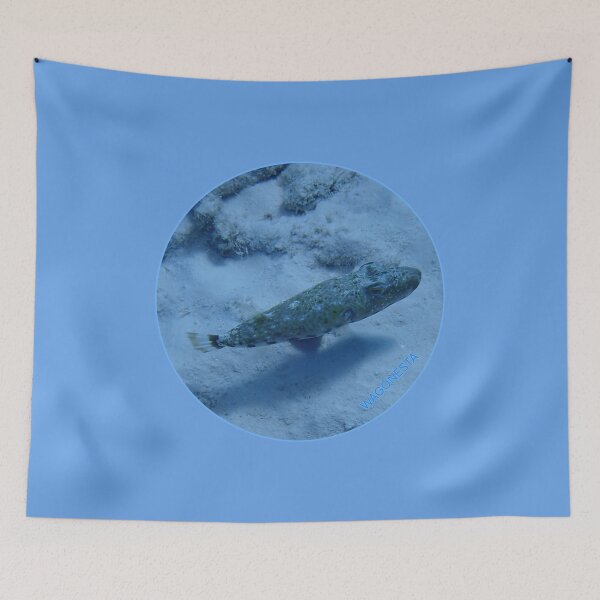 Item preview, Underwater - Pickle  Fish in Bonaire by Wagonesta  designed and sold by Wagonesta.