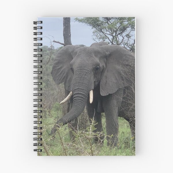 Item preview, Large elephant designed and sold by Mojaniart.