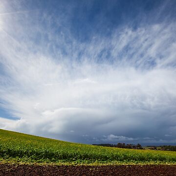 Artwork thumbnail, Cloudscape, Devenport, Tasmania, Australia by Michael Boniwell