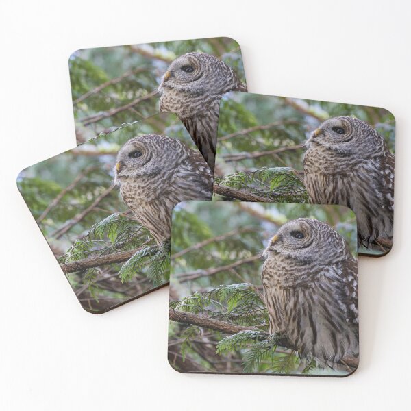 Item preview, Barred Owl Looking Up designed and sold by lisavonbiela.
