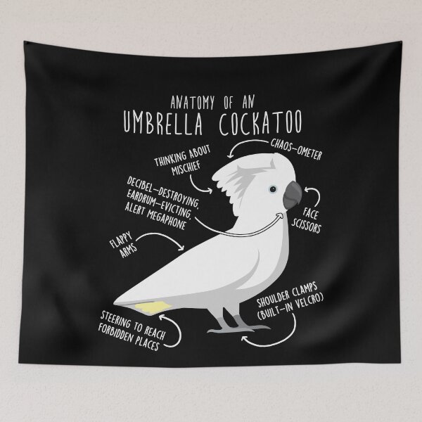 Item preview, Umbrella Cockatoo Parrot Anatomy designed and sold by Clara Hollins.