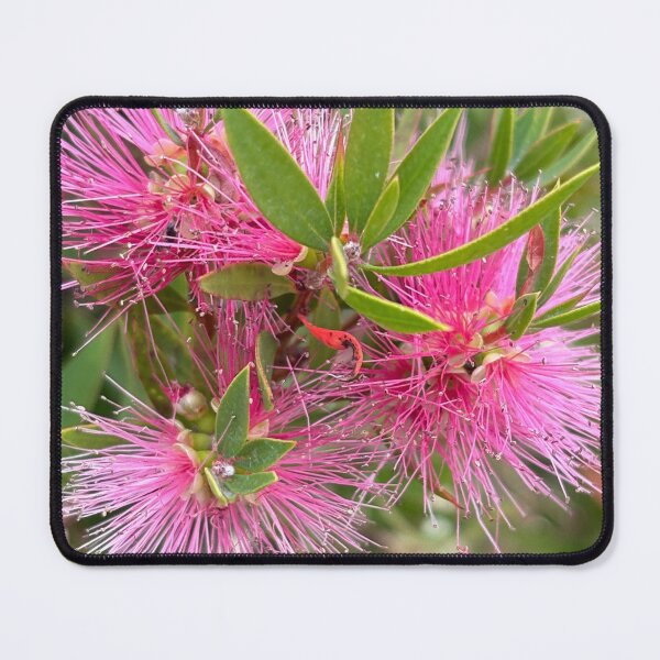 Item preview, on display designed and sold by Jan Stead JEMproductions.
