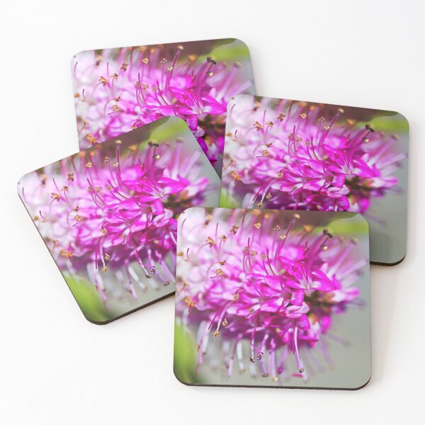 Item preview, Natures Pink White Hebe Flower designed and sold by Joy Watson - Natural Light Photography .