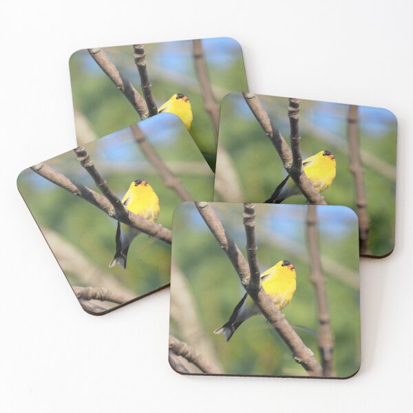 Item preview, American Goldfinch Perched On a Tree Branch designed and sold by BackyardBirder.