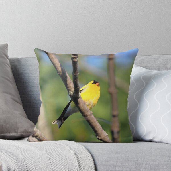 Item preview, American Goldfinch Perched On a Tree Branch designed and sold by BackyardBirder.